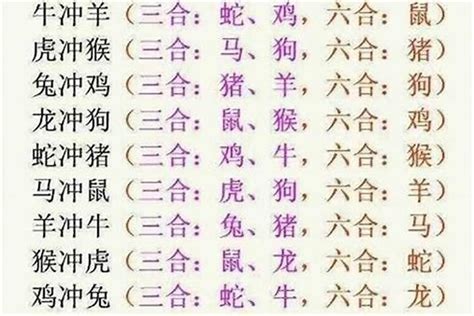 12生肖六合|十二生肖三合、六合、相冲详解